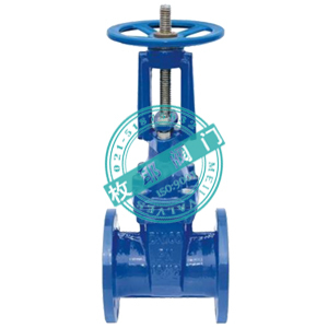 软密封明杆弹性座封闸阀Z41X,RRHX 上海枚耶阀门 www.famen163.com图片_高清图_细节图-上海枚耶阀门 -