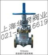 自动化与可靠性的完美结合：tpz42h自动调平油封闸阀解析