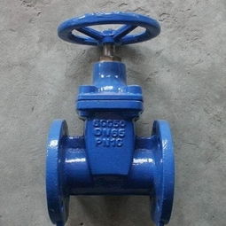 耐吉德阀门加盟 投资前景与加盟流程全解析